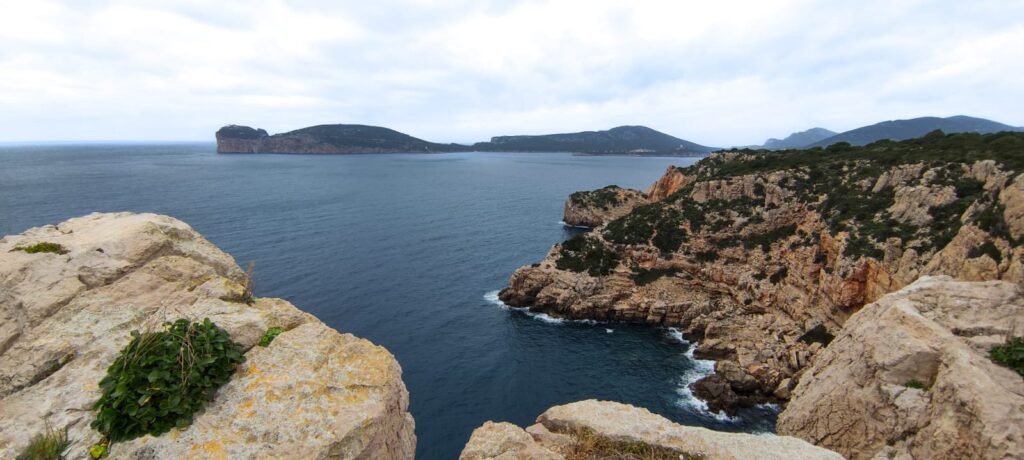 vista punta giglio alghero