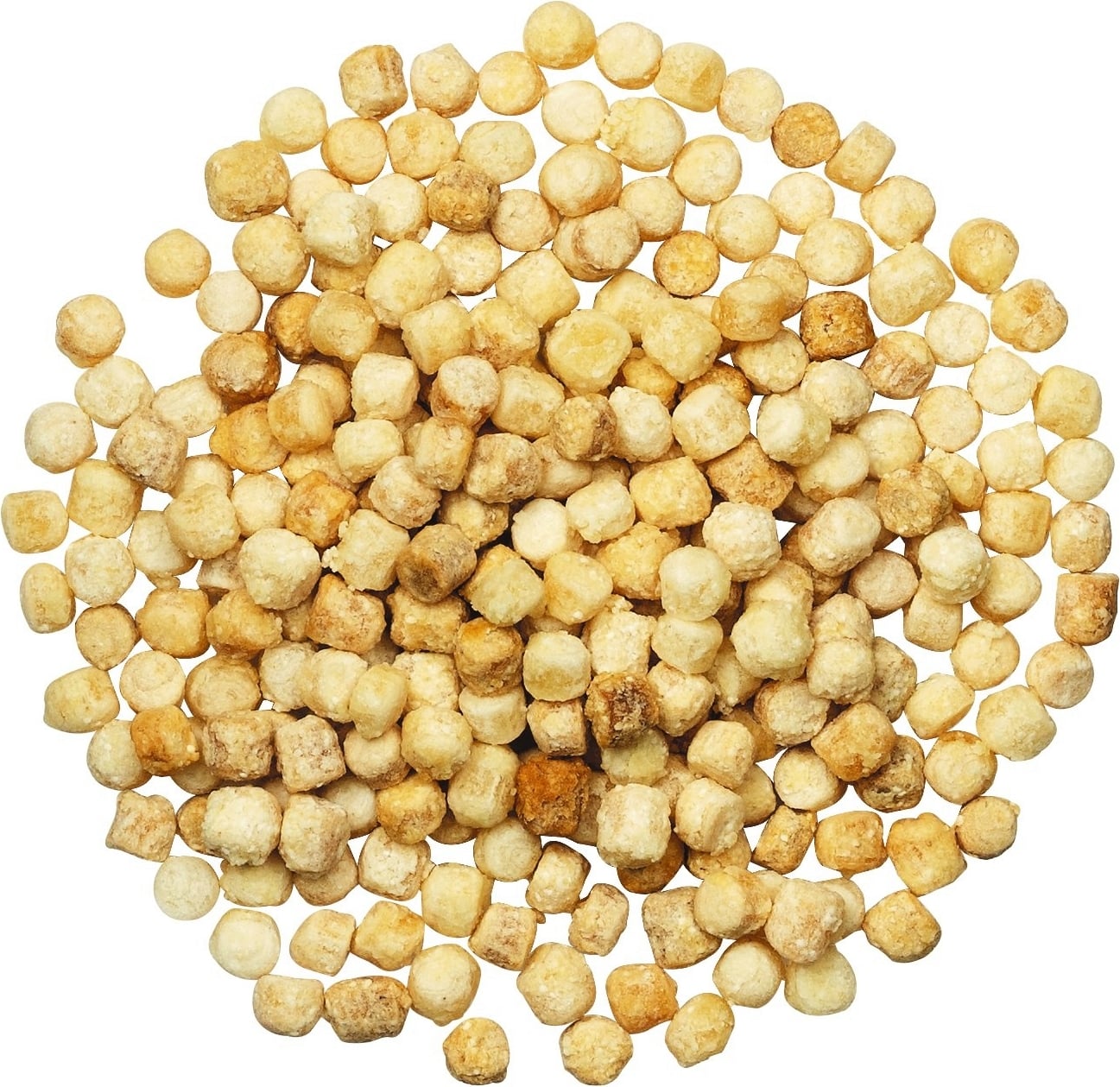 fregula